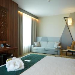 Фото Отель Mercure Saransk Center (Меркюр Центр)