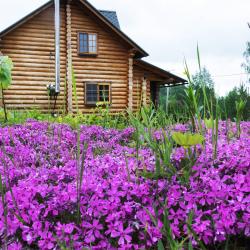 Фото Отель Новгородская Деревня