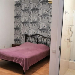 Фото Отель Альбина