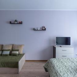 Фото Апартаменты Bright Hause на шоссе Пушкинское