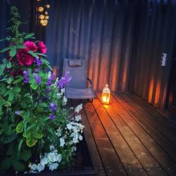 Фото Отель Лес и Луга