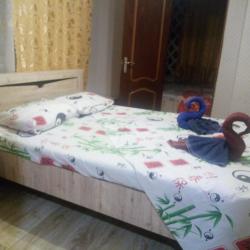 Фото Отель Гостишка