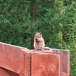 Фото Отель Красные Ворота