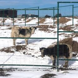 Фото Отель Любимая Усадьба