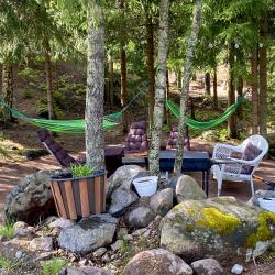 Фото Отель Финский Лес