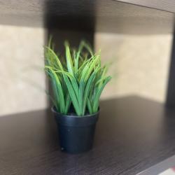 2-комнатные апартаменты стандарт