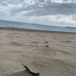 Фото Отель Riviera (Ривьера)