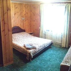 Фото Отель Ёлочка