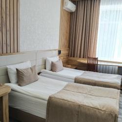 Номер стандарт с 2 односпальными кроватями (корпус 1)