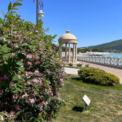 Фото Отель Черноморская здравница