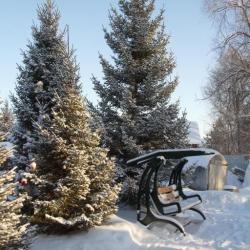 Фото Отель Алтайский центр ездового спорта