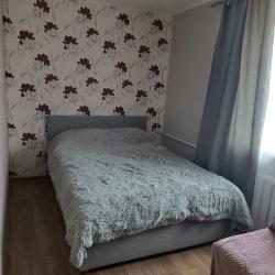 Фото Апартаменты на улице Волкова