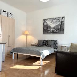 1-комнатные апартаменты стандарт ул. Щапова, 45