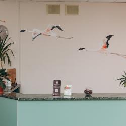 Фото Отель Фламинго