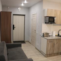 Фото Апартаменты на улице Родионова 202/1