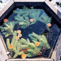 Дом-поезд Гномбург