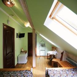 Фото Отель Золотой Гусь