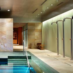 Фото Отель Barvikha Hotel & Spa (Барвиха)