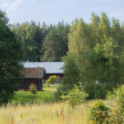 Фото Отель Мятный сад