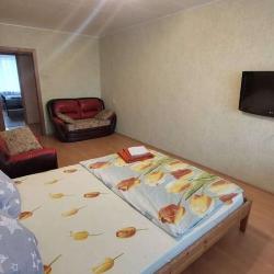 Фото Апартаменты на улице Космонавтов 14к2