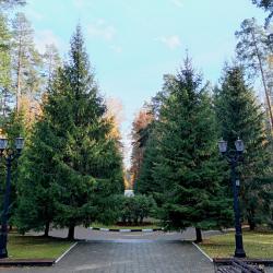 Фото Отель Плавно