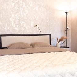 Фото Апартаменты на улице Фурманова 16