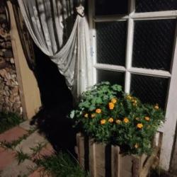 Коттедж стандарт с 1 двуспальной кроватью
