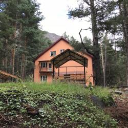 Фото Отель Метелица