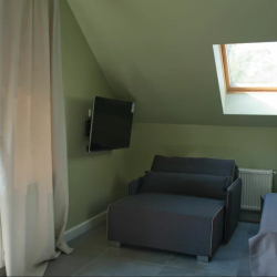 Фото Отель Plantage на Пионерской (Плантаж)