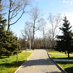 Фото Парк-отель АТМОС