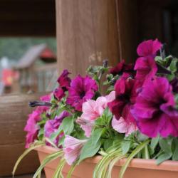 Фото Отель Белая река