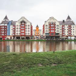 1-комнатные апартаменты стандарт