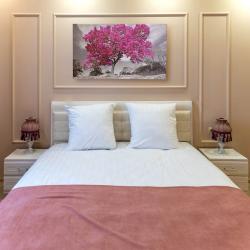 Фото Отель Белкино