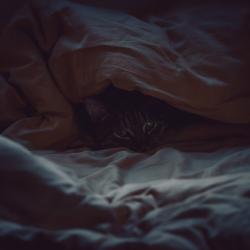 Фото Отель Маленькая Сербия