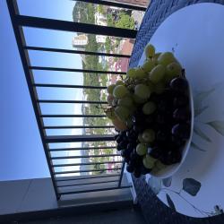 Фото Апартаменты в ЖК Кaрaвелла Пoртугaлии Старошоссейная 5к5