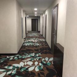 Фото Отель Флора