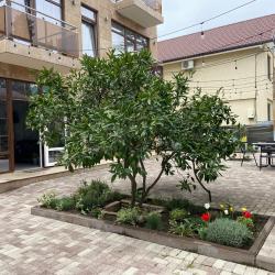 Фото Отель Бумеранг