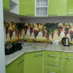 Фото Апартаменты на улице Санаторная, 13