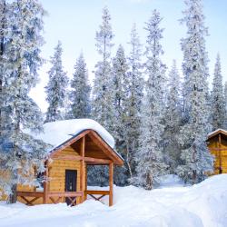 Фото Отель Лапландская деревня