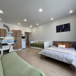 1-комнатные апартаменты студия Депутатская 87/1--112