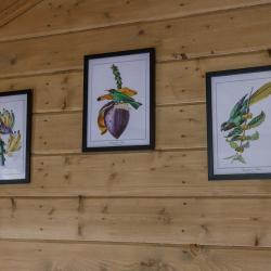 4-местный Коттедж в лесу №6