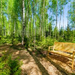 Фото Отель След Лося