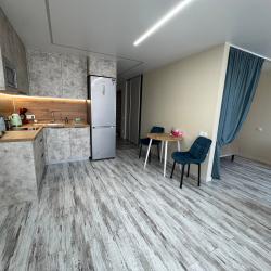 1-комнатные апартаменты студия