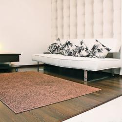 Фото Отель Альянс на улице Пушкинская 1/36