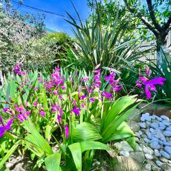 Фото Отель Каролина