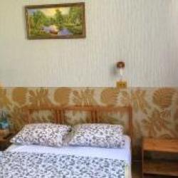 Русский лес — e8f8e6a0c30125492a73d10bdd5346e1