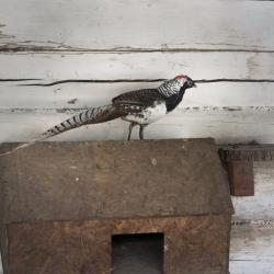 Фото Отель Лунежские горы