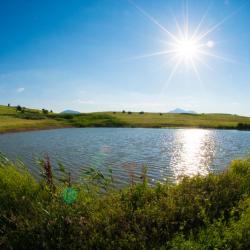 Фото Отель База отдыха Широкая балка