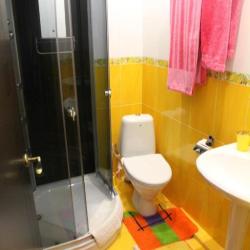 Номер эконом с 1 двуспальной кроватью (с завтраком)