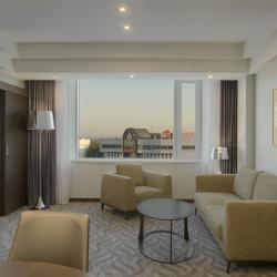 SHERATONPLAZA Ufa Congress Hotel (Шератон Плаза Уфа Конгресс) (бывш. Краун Плаза Уфа Конгресс) — e93c6066a167342d9c2a4c7caf970750